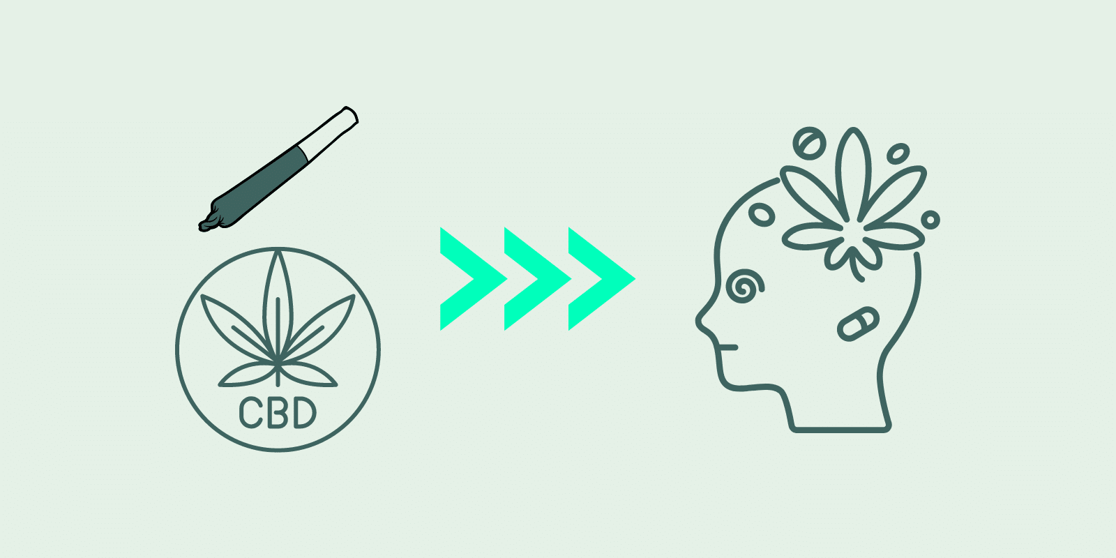 CBD, THC, effets, conduite, contrôle, test salivaire